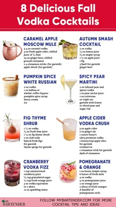 Fall Vodka Cocktails Seasonal Alcoholic Drinks, Seasonal Fall Cocktails, Fall Drinks Vodka, Fancy Fall Drinks, Healthy Fall Cocktails, Fancy Mixed Drinks, Fall Vodka Drinks Easy, Fall Drink Ideas Alcohol, Fall Time Alcoholic Drinks