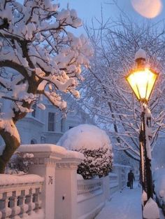 a street light covered in snow next to a white fence and tree with no leaves