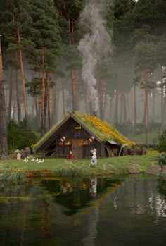 a dog is standing in front of a cabin with a green roof and grass on the roof