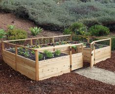 three wooden raised garden beds with plants growing in them