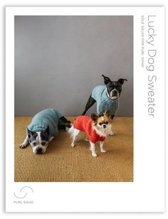 two small dogs wearing sweaters standing next to each other on a carpeted floor