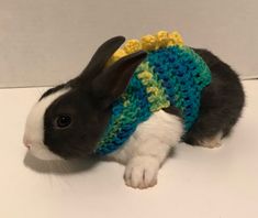 a black and white rabbit wearing a crocheted hat with yellow trim on it's head