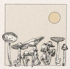 an ink drawing of mushrooms with the sun in the sky above them and below them