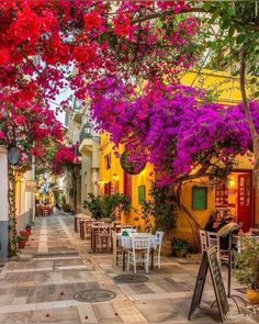 📍Nafplio, Greece 📸 minogiannisvalantis [IG] reposted by greece.explores Cavo Tagoo Mykonos, نباتات منزلية, Destination Voyage, Bougainvillea, Gatlinburg, Beautiful Places To Travel, Beautiful Places To Visit, Places Around The World, Travel Aesthetic