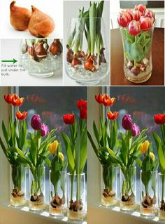 four images show tulips and other flowers in vases