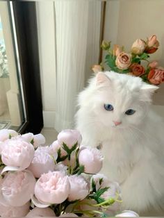 a white cat sitting on top of a table next to pink flowers and a mirror