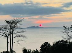 the sun is setting over the ocean with trees and mountains in the foreground,