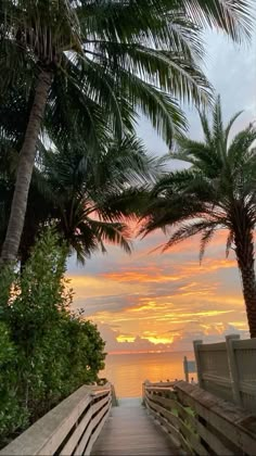 a wooden walkway leading to the beach with palm trees on either side and sunset in the background