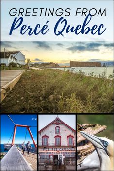 the words greetings from perce quebec with photos of buildings and birds