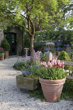 a large potted plant sitting in the middle of a gravel path next to a wooden bench