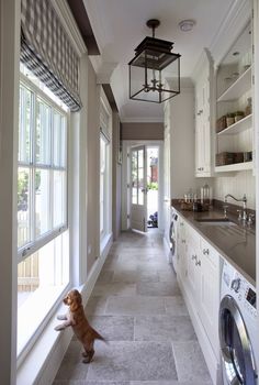 a dog sitting on the floor next to a washer and dryer in a kitchen