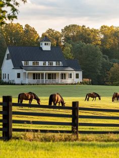 horses graze on grass in front of a large white house