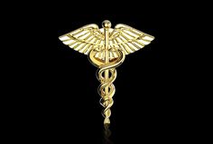 The Caduceus is an ancient Greek or Roman herald's wand, typically one with two serpents twined around it, carried by the messenger god Hermes or Mercury. a representation of this, traditionally associated with healing. Some accounts suggest that the oldest known imagery of the caduceus have their roots in a Mesopotamian origin with the Sumerian god Ningishzida whose symbol, a staff with two snakes intertwined around it, dates back to 4000 B.C. to 3000 B.C This is the best gift for medical schoo Snakes Intertwined, Presents For Nurses, Medicine Jewelry, Rod Of Asclepius, God Hermes, Gift For Doctor, Wallpaper Patterns, Phone Wallpaper Patterns, Rose Color