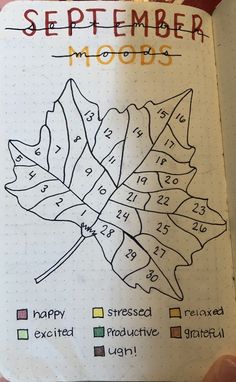 a hand holding a notebook with a drawing of a leaf on the cover and words written in it