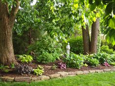 a garden with lots of plants and trees