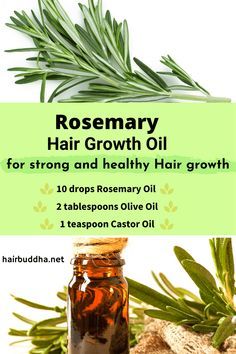 Rosemary Hair Growth Oil, Rosemary Hair Growth, Losing Hair, Rosemary Hair, Help Hair Growth, Rosemary Oil For Hair, Hair Remedies For Growth, Essential Oils For Hair