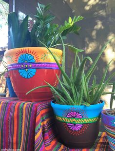 three potted plants sitting on top of a colorful table cloth covered bench with the words painted planters above them