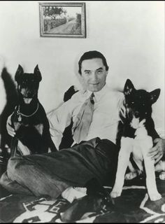 a man sitting on a bed with two dogs and a cat in front of him