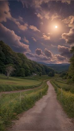 a dirt road in the middle of a lush green field under a moon lit sky