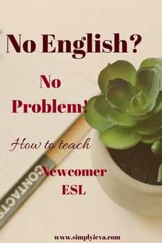 there is a succulent in a pot next to a pen and notebook with the words, no english? no problem how to teach newcommer esl