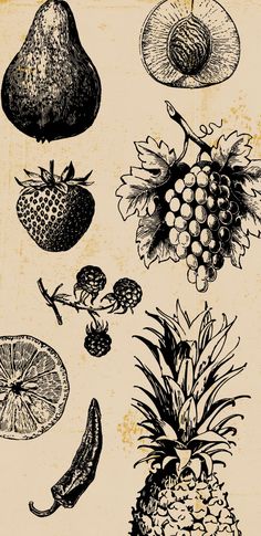 an image of various fruits and vegetables on a piece of paper in black and white