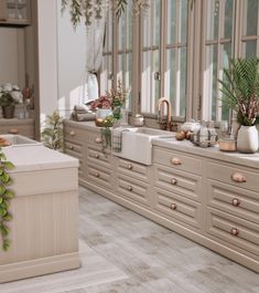 an image of a kitchen setting with plants on the counter top and sink in the middle