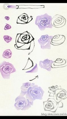 a drawing of purple roses on a white background