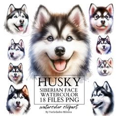 husky siberian face watercolor clipart