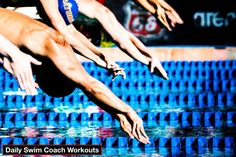 swimmers diving into the pool during a competition