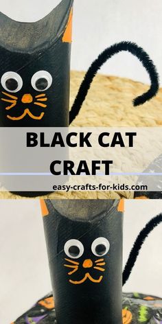 black cat craft made out of toilet paper rolls