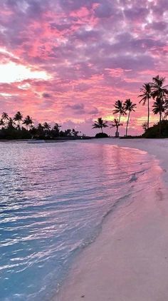 a beach with palm trees and water at sunset