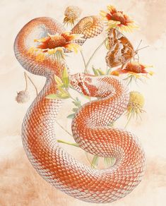 an image of a snake and flowers on a beige background with butterflies in the air