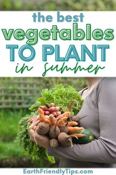 the best vegetables to plant in summer