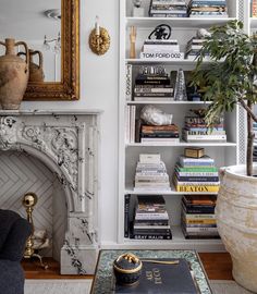 a living room filled with lots of books and a fire place next to a fireplace