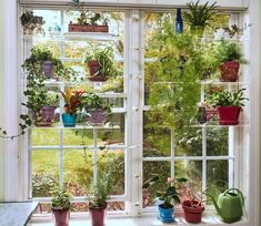 several potted plants are sitting on the windowsill