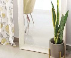 a potted plant sitting on top of a white floor next to a large mirror