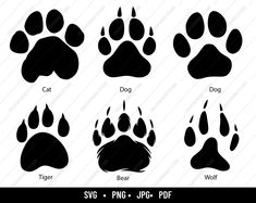 the silhouettes of different animal paw prints