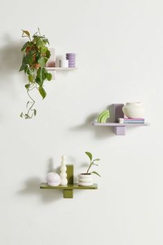 two shelves with plants and vases on them