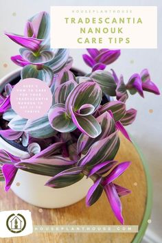 purple flowers in a white bowl on top of a wooden table with text overlay