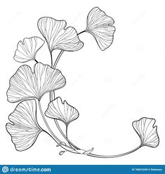 the outline of a flower with leaves