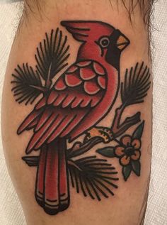 a red bird sitting on top of a tree branch with pine cones and leaves around it