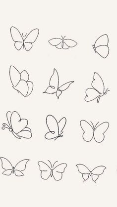 the outlines of different butterflies are shown in this drawing lesson, which shows how to draw