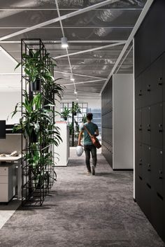 a person walking down an office hallway with plants and lockers on either side of the corridor