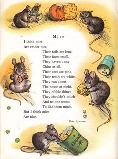 an illustrated book with mice and mice on it's page, which is written in english