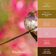 a bird sitting on top of a tree branch next to pink and green flowers in the background