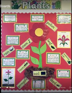 a bulletin board with flowers and plants on it