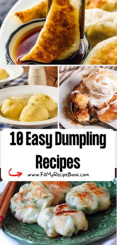 the top ten easy dumpling recipes