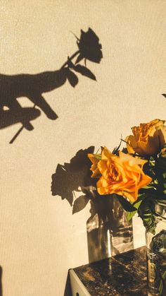 the shadow of a person's hand on a wall with flowers in a vase