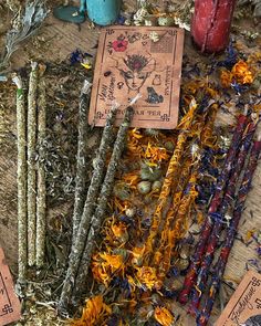 several different types of flowers and herbs laid out on the ground