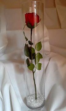 a single red rose in a clear vase on a white bed sheet, with water